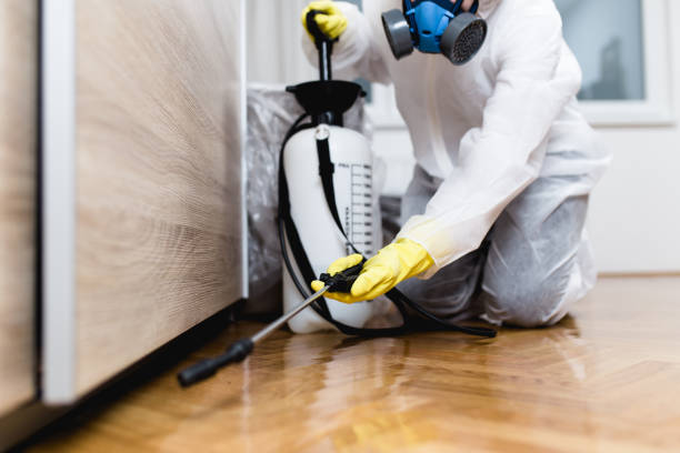 Best Residential Pest Control  in Fort Deposit, AL