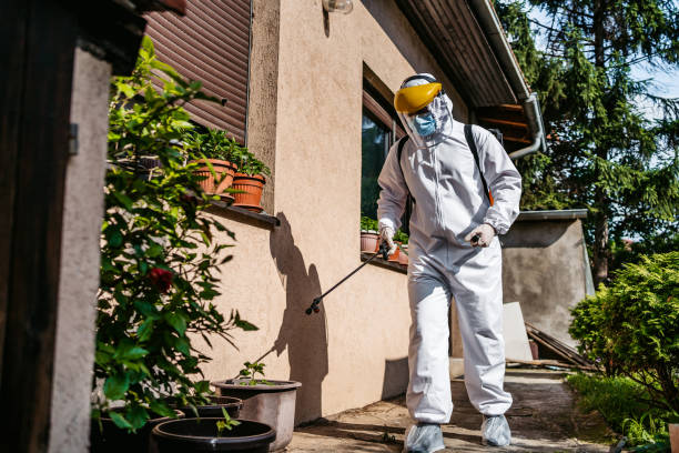 Pest Prevention Services in Fort Deposit, AL