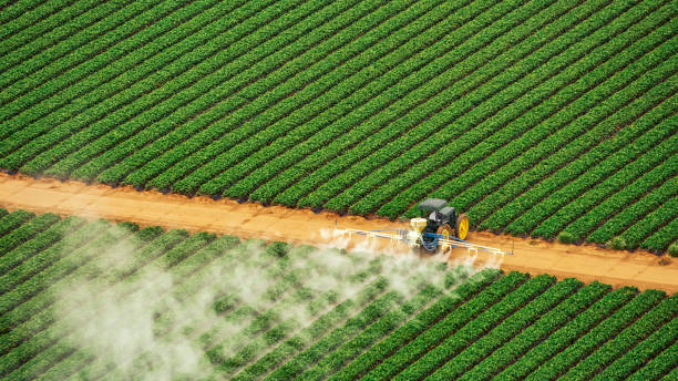 Best Mosquito Control Services  in Fort Deposit, AL