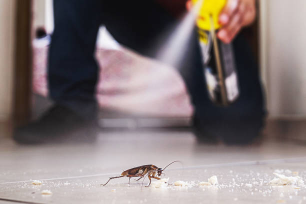Best Best Pest Control Companies  in Fort Deposit, AL