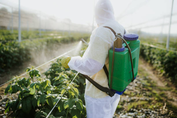Best Affordable Pest Control Services  in Fort Deposit, AL